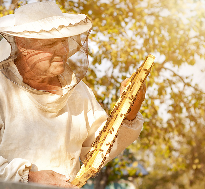 photo showing a beekeeper